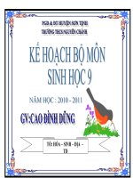 KẾ HOẠCH GIẢNG DẠY SINH 9