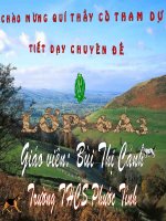 Tiết 91 Nhân hóa (năm học 2005-2006)