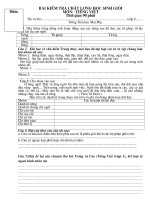 Đề thi KS học sinh giỏi môn TV 4 (GHK I)