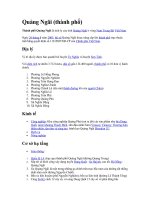 Thành phố Quảng Ngãi