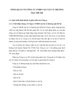 TỔNG QUAN VỀ CÔNG TY TNHH VẬN TẢI VÀ THƯƠNG MẠI THẾ HỆ