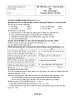 Đề thi HKI 2010-2011