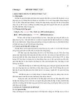 HÔ HẤP THỰC VẬT