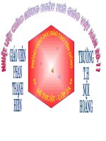 bài 12: Vẽ lá cờ tổ quốc và cờ hội