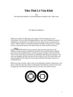 BỘ SƯU TẬP TIỀN 201031 TIỀN THỜI LÊ VĂN KHÔI THẾ KỶ 16