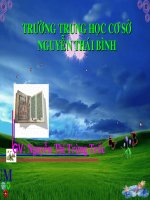 cam hoa trang tri( tt)