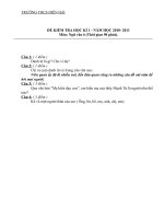 Đề kiểm tra học kỳ 1 có đáp án (chất lượng)