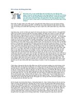 Để có được hệ thống phản biện