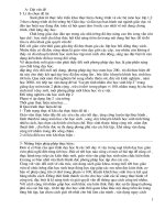 Sang Kien Kinh Nghiem Toan lop2