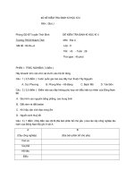 đề kiểm tra định kì học kì II