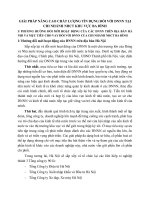 GIẢI PHÁP NÂNG CAO CHẤT LƯỢNG TÍN DỤNG ĐỐI VỚI DNNN TẠI CHI NHÁNH NHCT KHU VỰC BA ĐÌNH