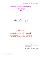 tiểu luận THỰC VẬT DƯỢC