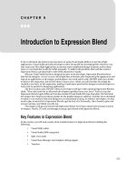 Introduction to Expression Blend
