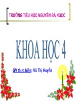 Ăn uống khi bị bệnh