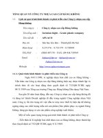 TỔNG QUAN VỀ CÔNG TY NHỰA CAO CẤP HÀNG KHÔNG