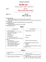 GIAO AN L2 TUAN 15 CKT (BEN DEP)