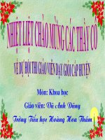 Bài giang thao giang huyen 2010 - 2011: Cao su