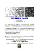 Squirkling Values