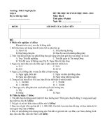 ĐỀ THI HKI 2010 - 2011