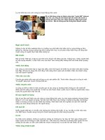 Lý do thất bại của các công ty hoạt động trên web