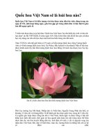 Quốc hoa Việt Nam sẽ là loài hoa nào?