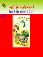 bai 2-3-4 Anh 7 quoc gia