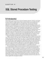 SQL stored procedure testing