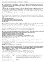 bai tap tu luan amin