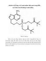Adefovir kết hợp với Lamivudine hiệu quả trong điều trị Viêm Gan B kháng Lamivudine
