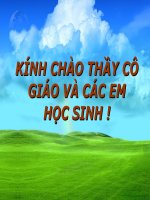 tiet 32 cau tao va chuc nang cua hoa