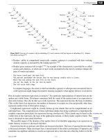 The New C Standard- P10