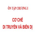 Bài 22. On tap chuong I - Khoi 11