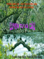 Tổng kết vốn từ - T16