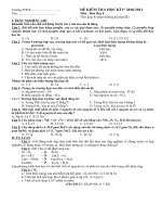 ĐỀ THI HKI HÓA 8 NĂM 2010-2011