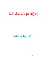 dong dien trong kim loai- phan mem crocodie