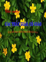 Nhàn tiết 40 văn 10