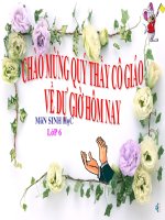 Tiết 41-Sinh học 6