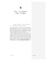 THE LEADER''S NEW WORK