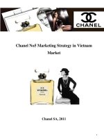 Marketing Strategy Assignment (2012) - Chiến lược marketing cho sản phẩm Chanel No5