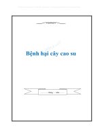 Bệnh hại cây cao su