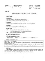 Công Nghệ 7 tiết 17