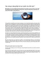 Các công ty đang tiếp thị trực tuyến như thế nào?