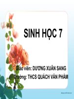 BÀI 2 PHÂN BIỆT ĐV VỚI TV VÀ ĐĐ CHUNG