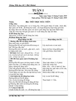 Giáo án lớp 1 tuần 1(2 buổi)