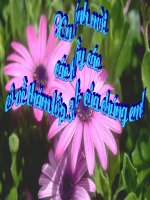 Thao diễn: Giảm đi một số lần