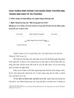 HOẠT ĐỘNG KINH DOANH CỦA NGÂN HÀNG THƯƠNG MẠI TRONG NỀN KINH TẾ THỊ TRƯỜNG