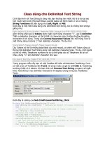 Class dùng cho Delimited Text String
