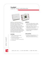TrueNet® CopperTen™ Six-Port Surface Mount Box