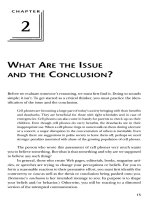 WHAT ARE THE ISSUE AND THE CONCLUSION