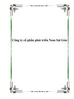 Công ty cổ phần phát triển Nam Sài Gòn
